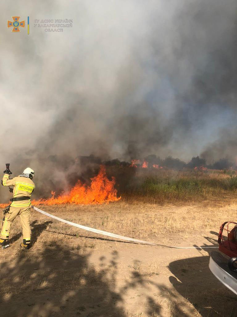 8 гектарів поля: на Хустщині пожежники приборкували масштабну пожежу