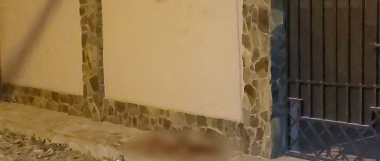 У Виноградові чоловік наніс ножові поранення своєму сусідові