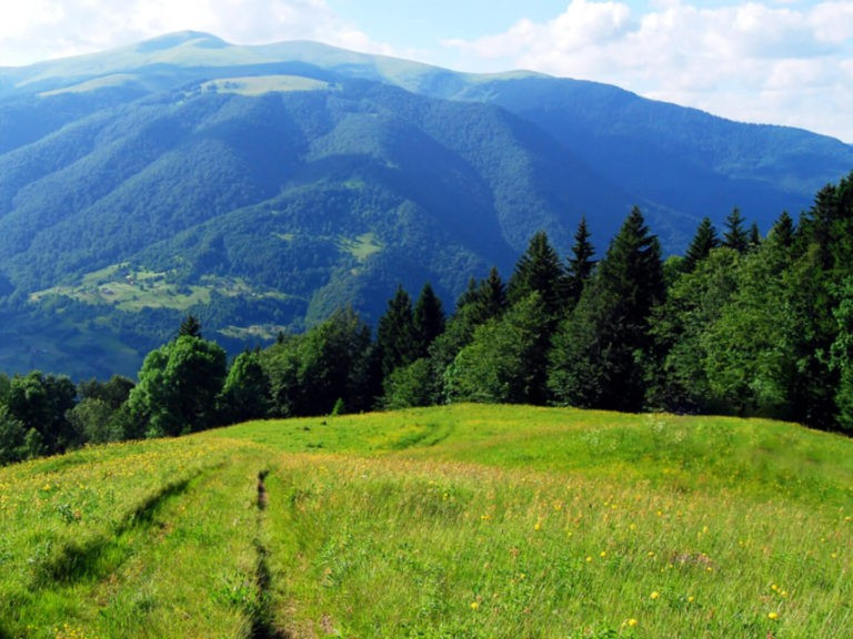 На Рахівщині безвісті зник чоловік