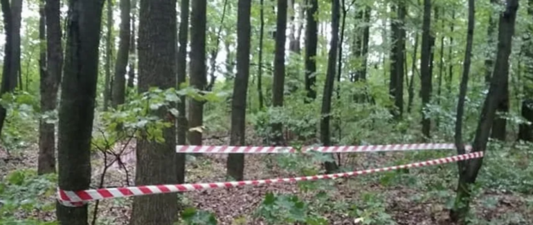 В Мукачівському районі в лісі виявили вибухівку