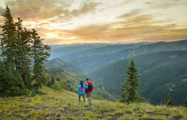 Пішов у ліс та не повернувся: на Закарпатті зник ще один чоловік