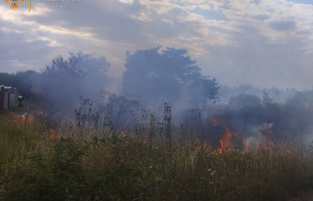 За добу на Закарпатті пожежники 27 разів гасили траву та чагарники