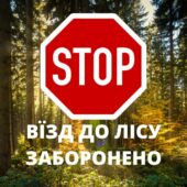 Заборона в лісі: яким автівкам не місце у закарпатських лісових масивах?