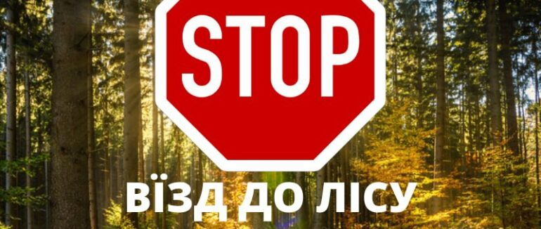 Заборона в лісі: яким автівкам не місце у закарпатських лісових масивах?