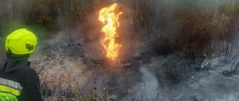 Поблизу Ужгорода палії сухої трави пошкодили газопровід і залишили майже 270 осель без газу