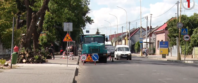 Відновлюють світлофор, який зазнав пошкоджень через негоду (ВІДЕО)