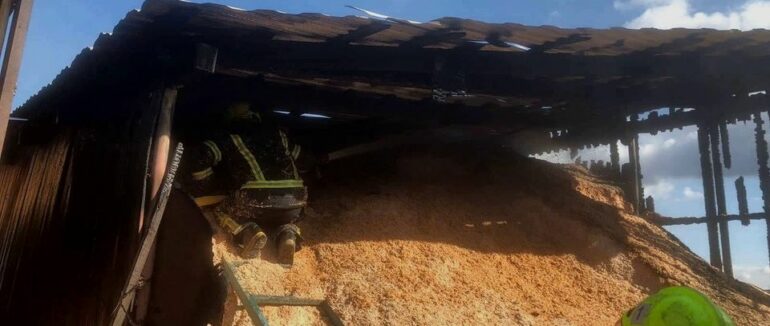 Знову сухостій у вогні: рятувальники Закарпаття ліквідували пожежу на Тячівщині (ФОТО)