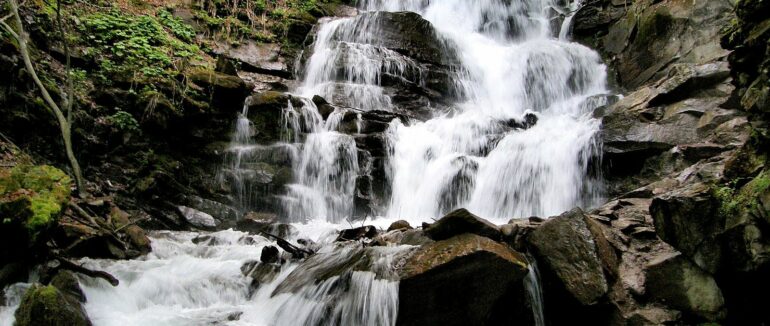 На Закарпатті за липень викрито 50 порушень природоохоронного законодавства