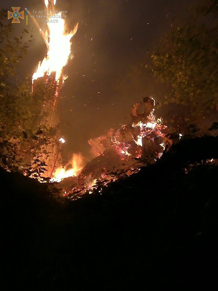 Велика пожежа на Закарпатті: рятувальники та місцеве населення всю ніч гасили вогонь