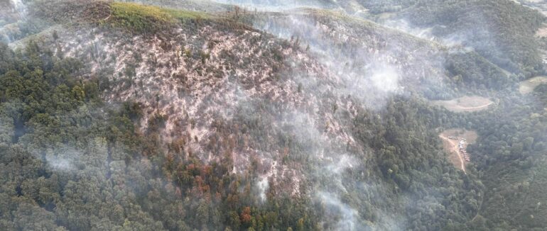 Нарешті ліквідували: на Ужгородщині лісівники й рятувальники здолали масштабну пожежу