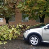 У ДСНС Закарпаття показали наслідки, які завдала негода у регіоні