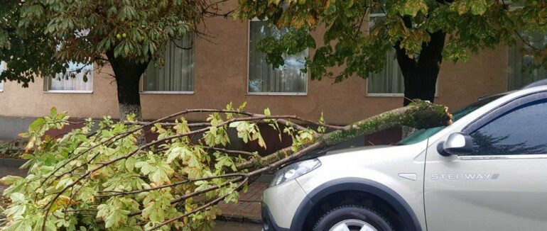 У ДСНС Закарпаття показали наслідки, які завдала негода у регіоні