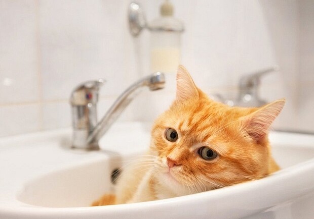 Де не буде води в Ужгороді, повідомили у водоканалі