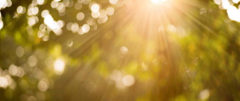 Якою буде погода на вихідні в Закарпатті