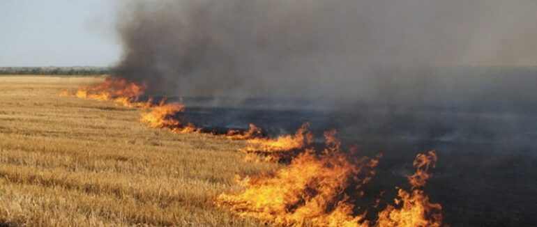 На Закарпатті продовжують сполювати сухостій: за добу 10 пожеж