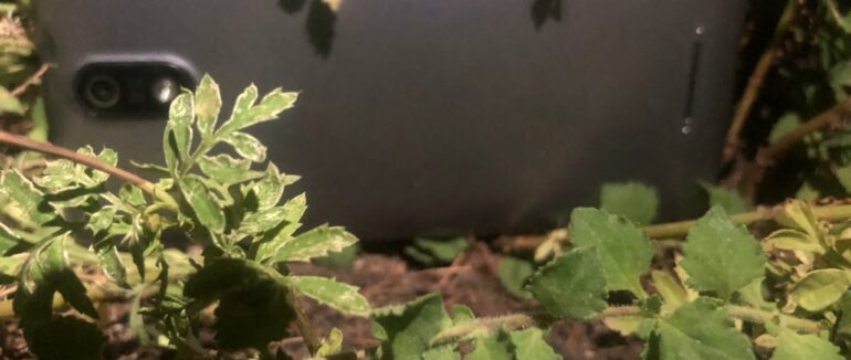 В Ужгороді вночі двоє чоловіків побили пенсіонера-охоронця і відібрали у нього мобільний телефон