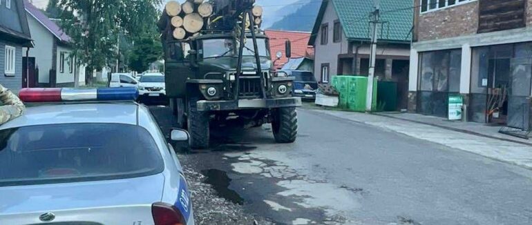 Не зміг надати документацію на вантаж: на Тячівщині вилучили вантажівку, яка перевозила нелегальну деревину