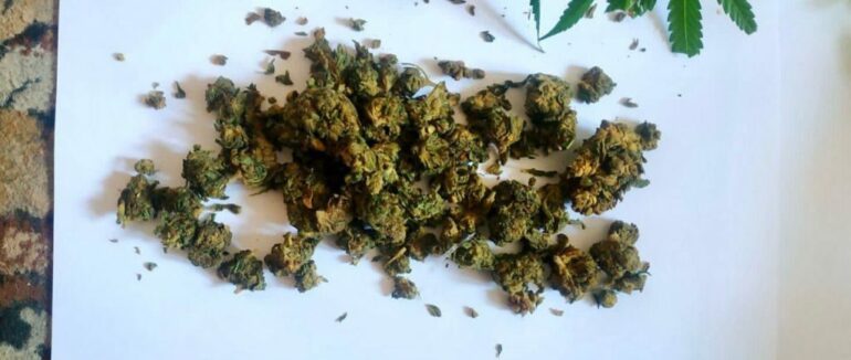 У Мукачеві затримали зловмисника, причетного до розповсюдження наркотиків