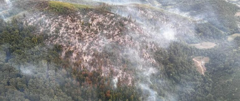 На Закарпатті заборонили будь-які відвідування лісових масивів для населення