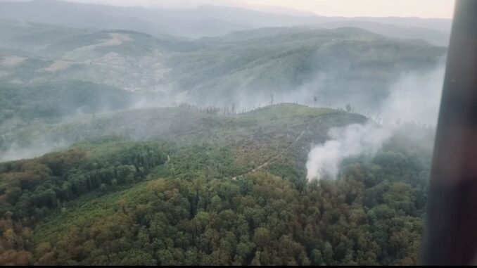 Ліквідація триває вже дві доби: у лісі на Ужгородщині виявили нові осередки пожеж