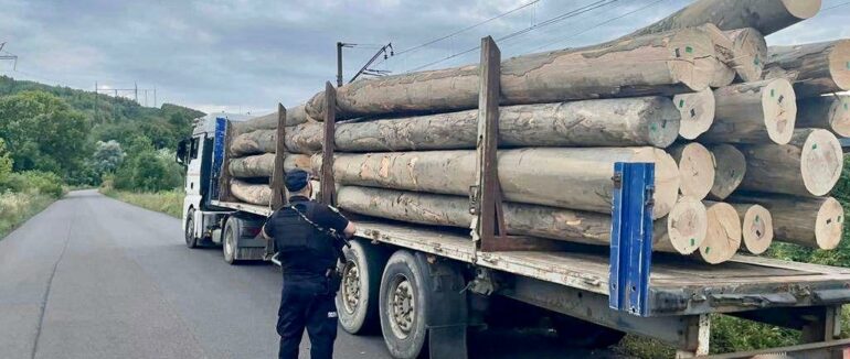 На Мукачівщині затримали вантажівку з нелегальною деревиною
