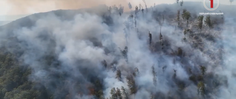 Наслідки масштабної пожежі: 60 працівників лісової охорони контролюють ліс на Ужгородщині (ВІДЕО)