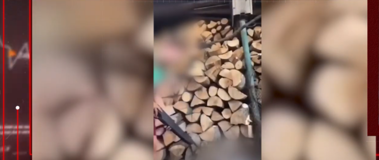 На Закарпатті дитина стріляла у тварину (ВІДЕО)