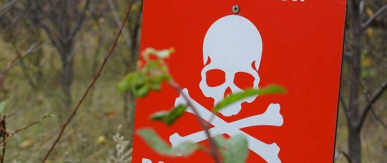 У Великому Березному виявили 4 протитанкові міни