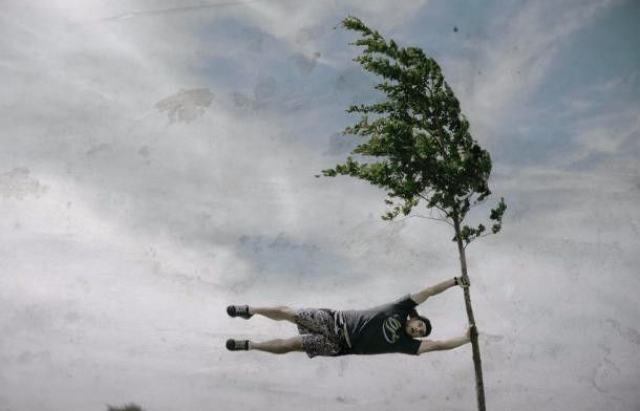 Синоптики попереджають про сильний вітер на Закарпатті