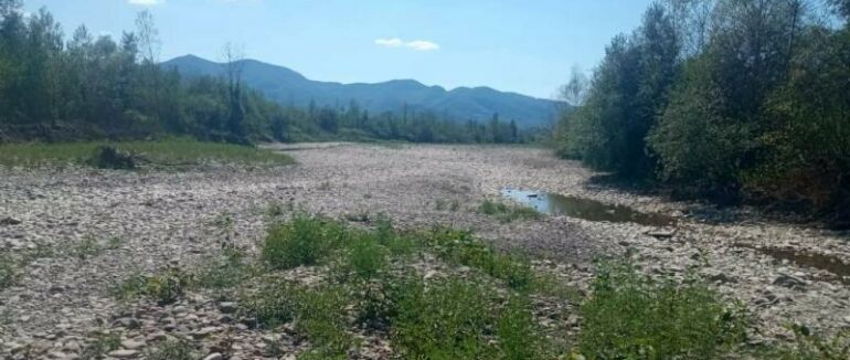 Маловоддя зафіксовано на семи річках Закарпаття