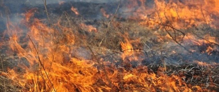 У Перечині під час спалювання сухостою жінка отримала опіки