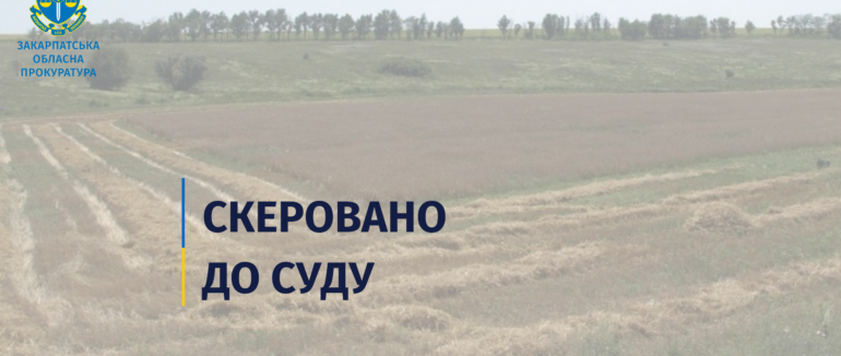 Жителька Тячівщини постане перед судом через шахрайське заволодіння землею