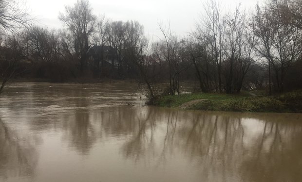 В Ужгородському районі у річці виявили тіло чоловіка