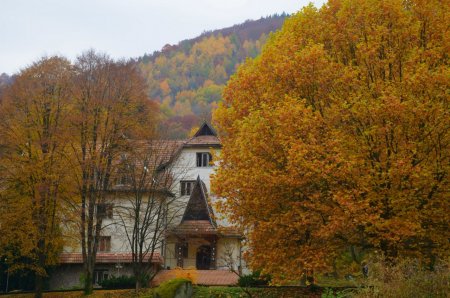 На Закарпатті реконструюють єдиний в Україні Музей екології гі