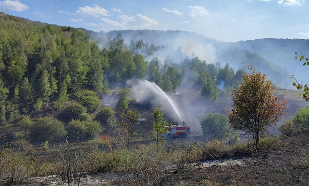 Поблизу Ужгорода ледь не загорівся ліс