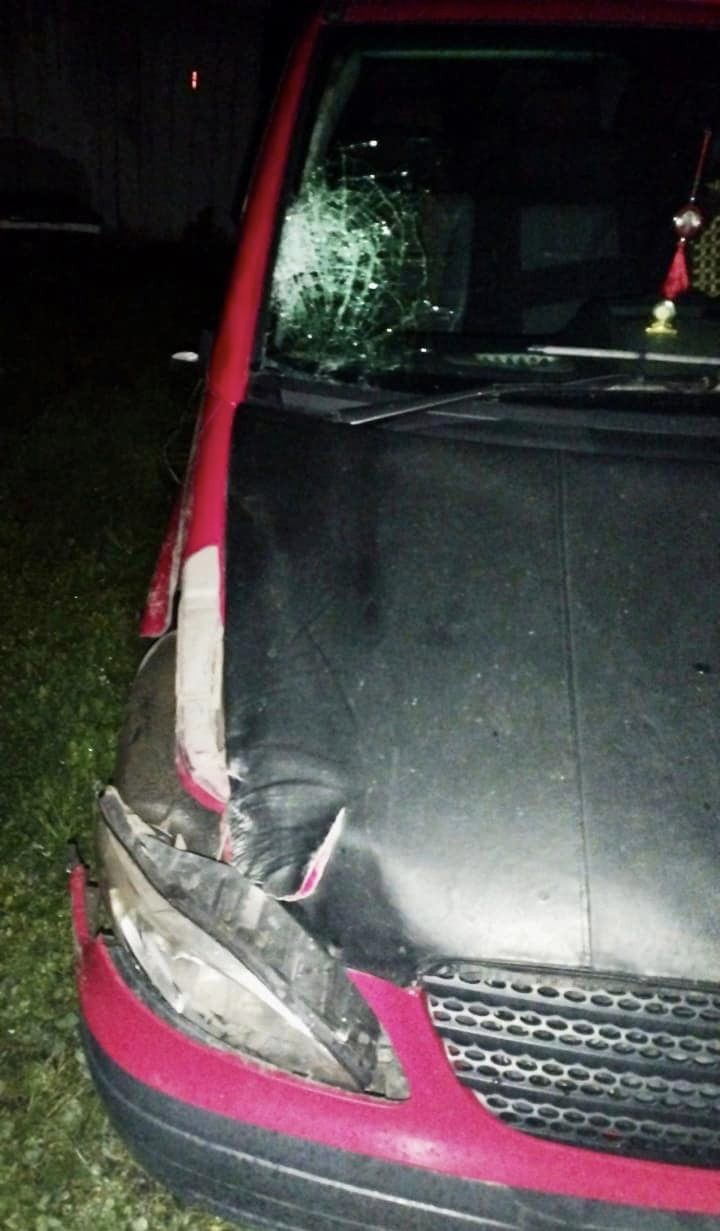 На Закарпаття п’яний водій на смерть збив дитину