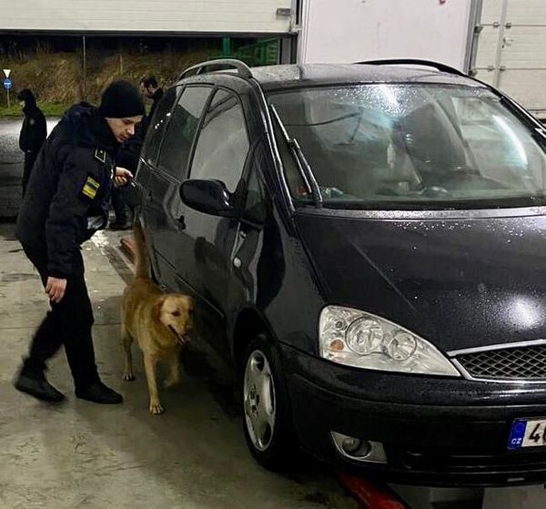 Чотирилапі помічники: Закарпатська митниця про кінологічні здобутки