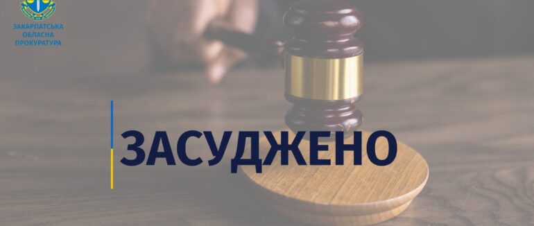 Більше 6 років ув’язнення за ряд злочинів: вирок суду мешканцеві Мукачівщини