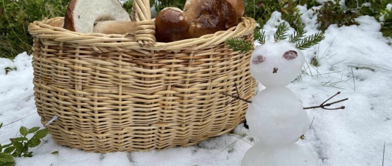 На Закарпатті люди збирають гриби серед снігу