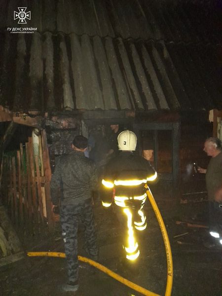 Масштабна пожежа на Синевирі: вогонь приборкували і місцеві і рятувальники