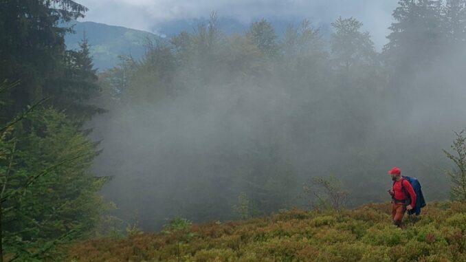 10 днів його шукали: у Рахівському районі знайшли грибаря, який зник ще 10 вересня