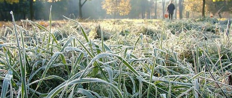 Синоптики попереджають про заморозки 23-24 вересня