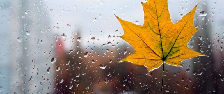 На Закарпатті прогнозують дощі зі снігом