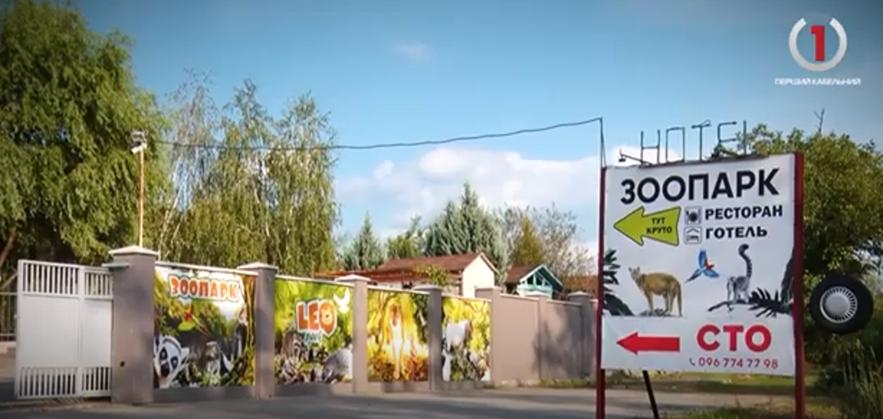 "Леопарк" у Березинці запрошує на річницю: унікальні пухнасті тварини чекають усіх (ВІДЕО)