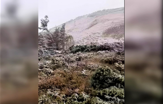 На Драгобраті також випав перший сніг