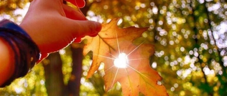 Коли очікувати похолодання в Україні