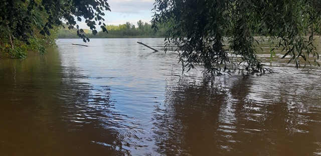 Річки Закарпаття, почали виходити з берегів