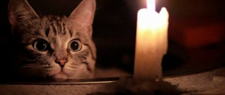 На Закарпатті застосовані 4 графіки черг аварійних відключень електроенергії