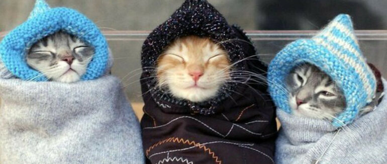 Україну чекає різке похолодання: будуть дощі, а в Карпатах – сніг