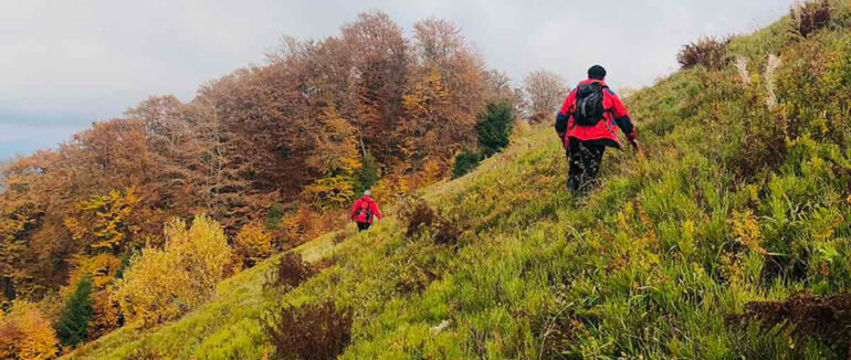 На Мукачівщині у лісі вже п’яту добу шукають заблукалого туриста